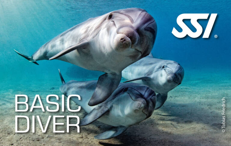 Kurs Basic Diver SSI