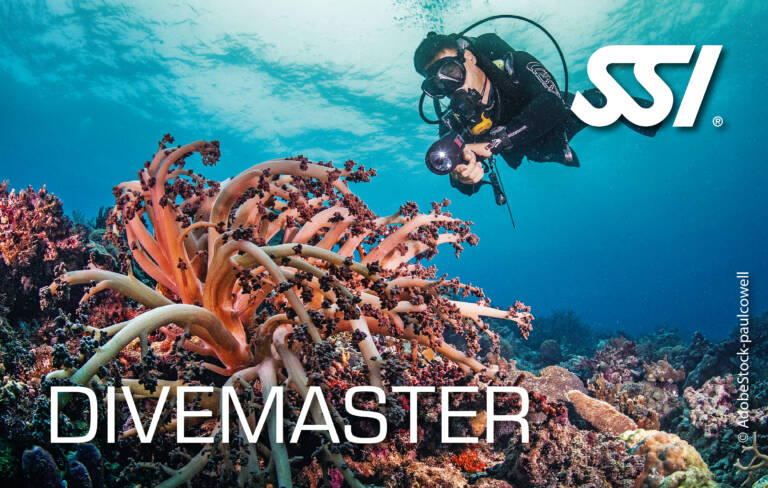 Kurs Divemaster SSI