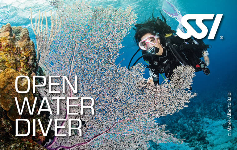 Kurs Open Water Diver SSI