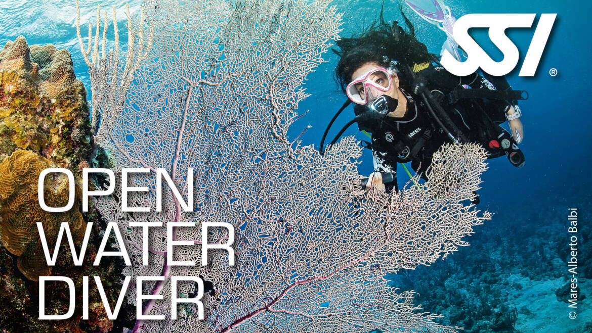 Open Water Diver