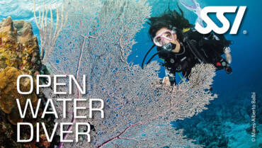 Open Water Diver