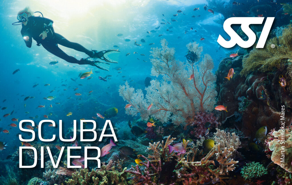 Kurs Scuba Diver SSI