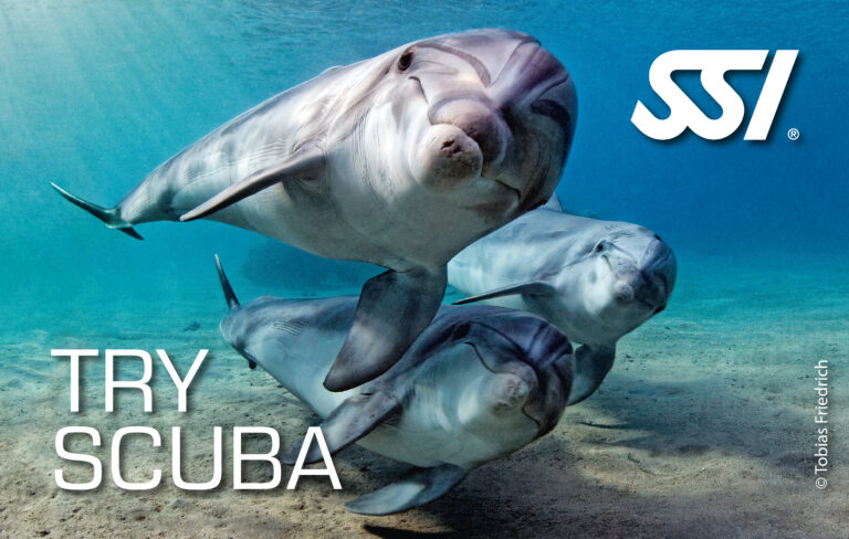 Kurs Try Scuba SSI